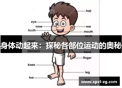 身体动起来：探秘各部位运动的奥秘